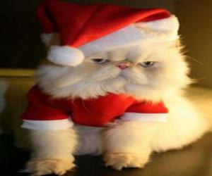 пазл Котенок одетые как Санта-Клаус